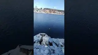 Поймал щуку на живца