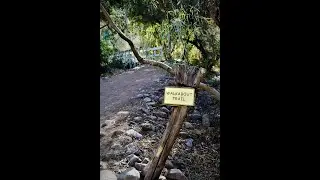 AMAZING! Boyce-Thompson Arboretum in Superior, AZ & a drive through Highway 177 to Florence, AZ
