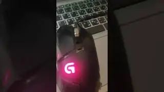 logitech G502 15k pkr mouse 1 year later longterm review and condition