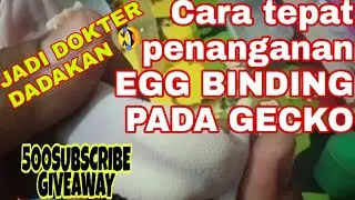 #eggbinding