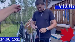 VLOG(29.08.21): Сборы в Украину, Домашняя коптильня