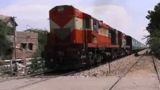 Tren al Rajasthan - India