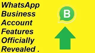 WhatsApp Business Account Features Officially Revealed .