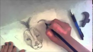 [SpeedDrawing] Realistic Lion || Head/Face
