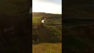 Княжна гора. Древнее городище славян под Демянском.