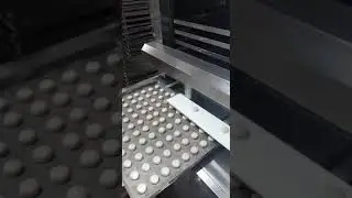 укладчик на противни