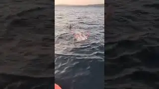 Море на закате от Татьяны 31.08.24.