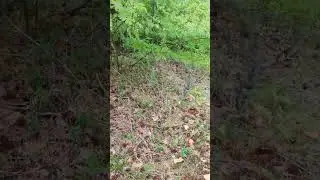уж в Барышево