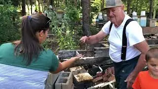 lady holding bees there gentle