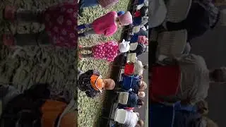 Каравелла 2019 (голимый ютуб запретил переворачивать видео)