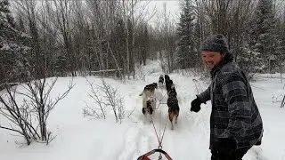 Mushing Practice- A Challenging Run