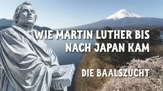 Die Baalszucht - Religionen und Gewalt gegen Mensch, Tiere und Natur