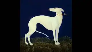 dog years 78BPM instrumental.