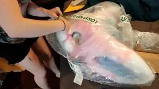 Fursuit unboxing~ Candy's head!