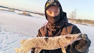 Открытие зимнего сезона!!! Ловля чёрной щуки!!!!