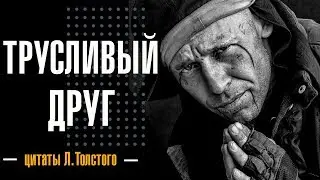 Трусливый друг.🆘Потрясающая цитата Толстого!