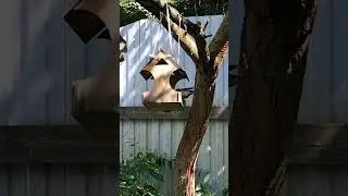 Кто-то проголодался))