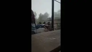 Cat Sleeping in the Rain ASMR | Relax While you Code