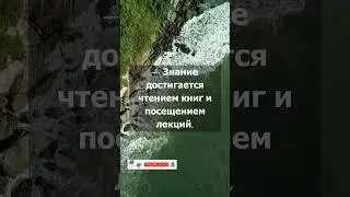 Знания и мудрость. Притча #shorts
