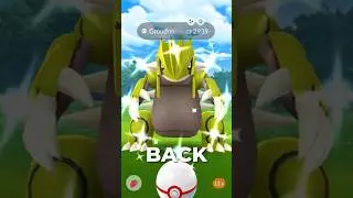 Top Counters for PRIMAL GROUDON!