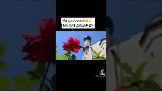 МА ША АЛЛАХА1 ма хаз дицар ду