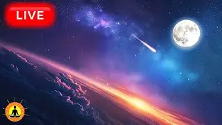 🔴 Deep Sleep Music 24/7, Meditation Music, Sleep, Calm Music, Zen, Relax,  Study Music, Sleep Music