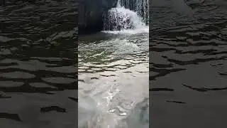 daringbadi waterfall କେମିତି ଲାଗୁଛି କହିବେ #viral short video
