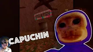 Capuchin Gameplay on Oculus VR