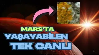Breathing on Mars! This Tiny Creature Could Change Everything