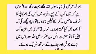 Hazrat Anas Bin Nazar R.A Ka Nabi Alai Salam sy Muhabat Ka Beautiful waqia
