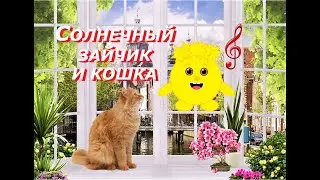 СОЛНЕЧНЫЙ ЗАЙЧИК И КОШКА!!! (песня для детей)