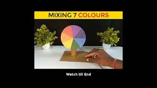 Newton Disk Science Experiment - Mixing all 7 Colours 