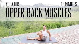 Upper Back Muscles | 16 min | Yoga with Maria