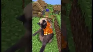 Most Adorable Minecraft EVER! Catcraft! 