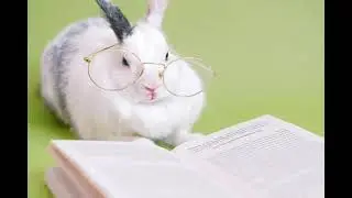 Сказка о храбром зайце