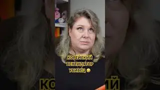 Корейские суеверия по сей день забавные и интересные 