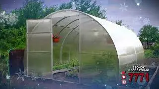 Теплица. 7771