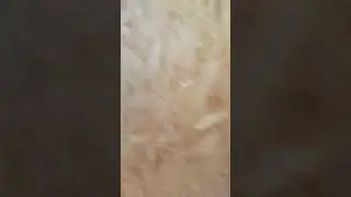 Извините за короткое видео но так получилось видите меня мама быстро спалила шпионим за мамой