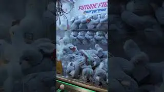2x Capit Langsung Dapet Boneka