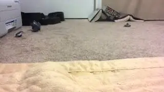 Homemade BeyWheelz Stadium Test!