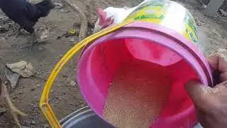 Tipid sa patuka sa native. Gawin mo ito.