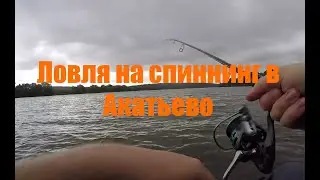 Ловля на отводной поводок в Акатьево р.Ока
