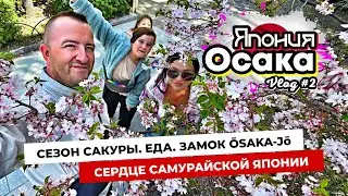 Это КОСМОС какой-то! Осака удивляет! Сакура. Метро. Замок императора. Уличная еда. Япония #2.