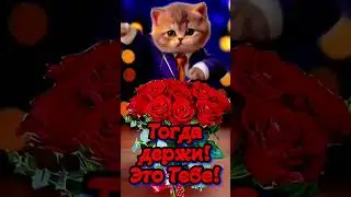 #срочныеновости