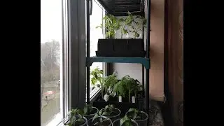 Домашний Парник для Рассады - часть 2