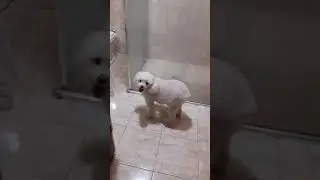 Vai lavar o bumbum filha kkkkkk