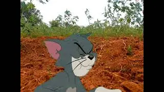 Green Screen Tom and Jerry Cartoon