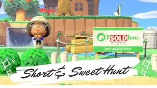 Finding a Dream Villager Friend in 4 NMT?