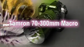 Preiswertes Telezoom für tolle Makros! Tamron 70-300mm Macro