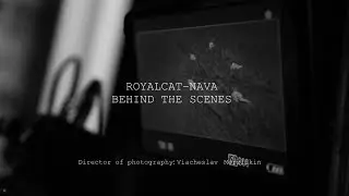Behind the scenes ROYALCAT-NAVA/За лаштунками РОЯЛЬКIТ-НАВА